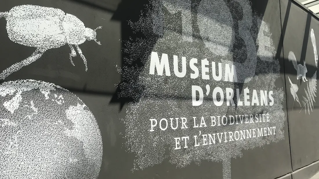 L'entrée du Muséum d'Orléans pour la Biodiversité et l'Environnement.
